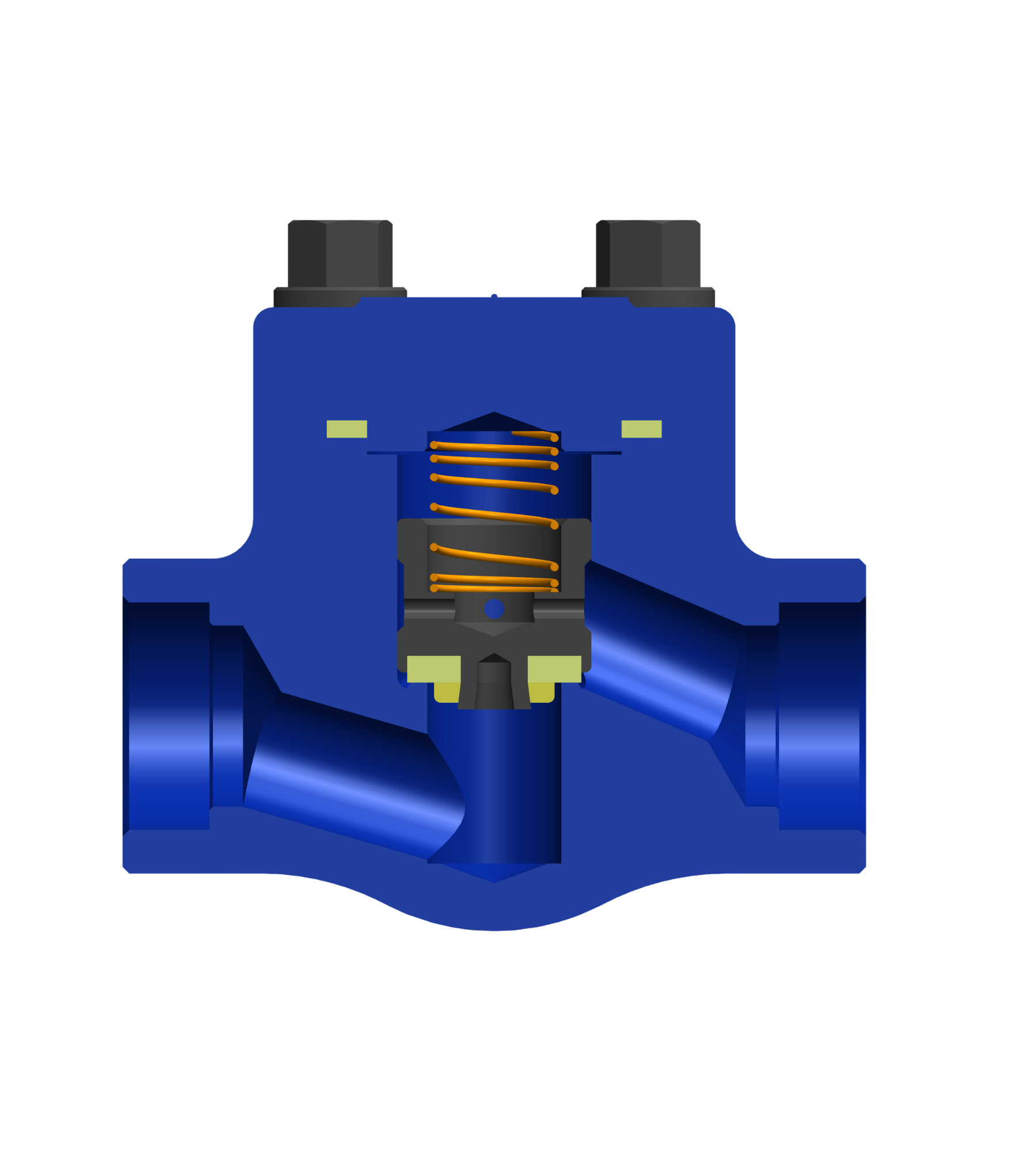Check-valves-2.png